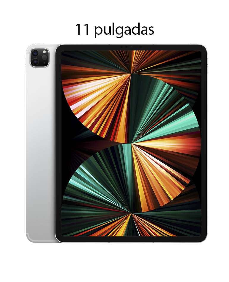 iPad Pro 11 pulgadas